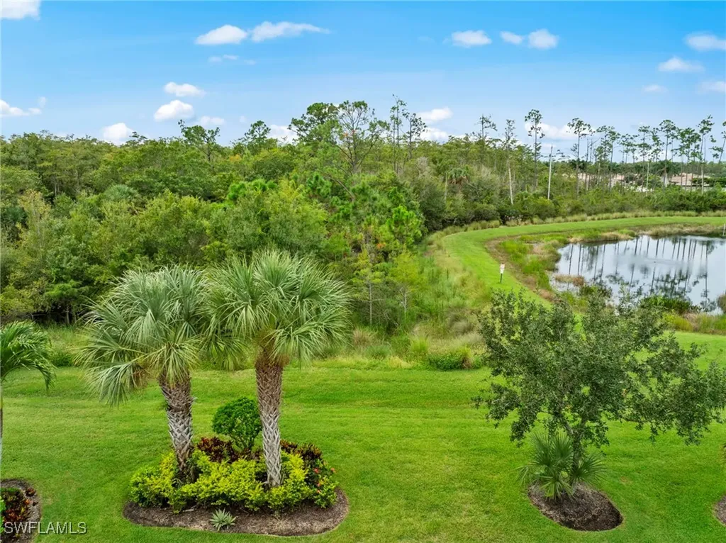 20264 Black Tree Lane Estero FL 33928