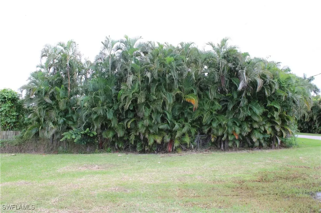 6 Spoonbill Avenue Everglades City FL 34139