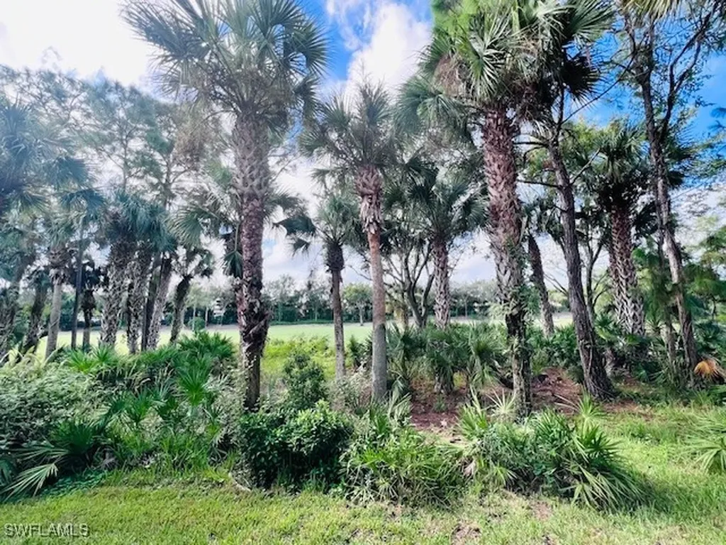 11091 Corsia Trieste Way Bonita Springs FL 34135