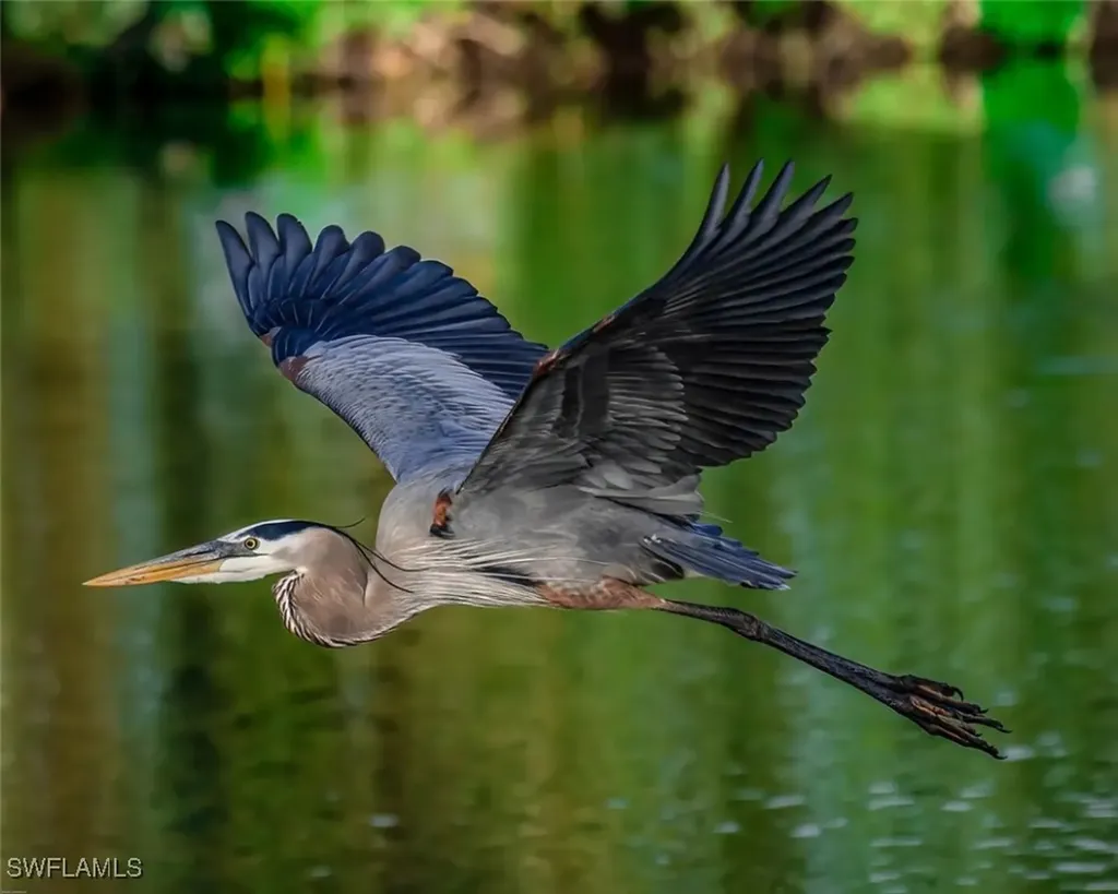 12531 Colliers Reserve Drive Naples FL 34110