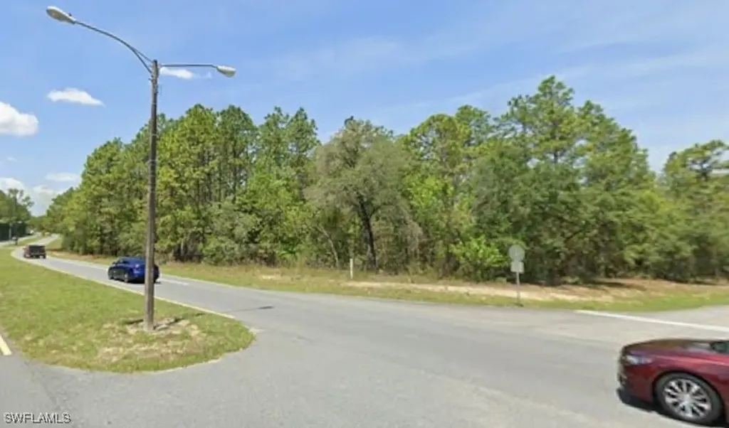 1511 W Donner Drive Citrus Springs FL 34434