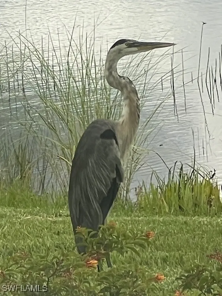 28388 Turin Court Bonita Springs FL 34135