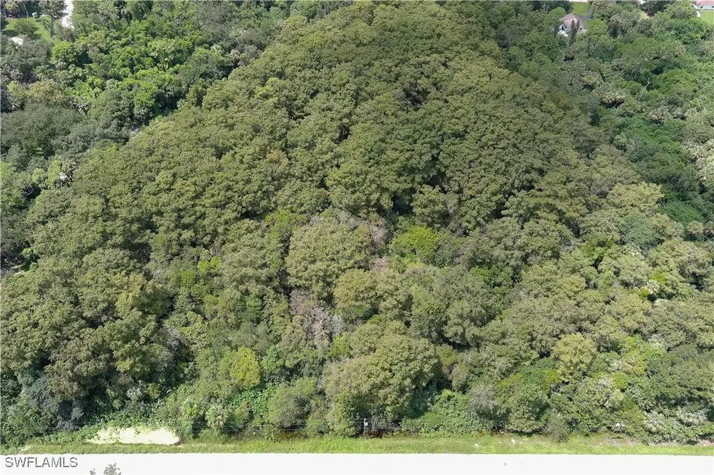 Taylor Road N Immokalee FL 34142