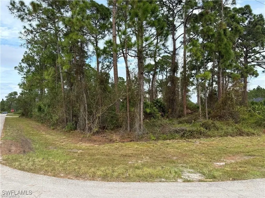 925 Barton Street E Lehigh Acres FL 33974
