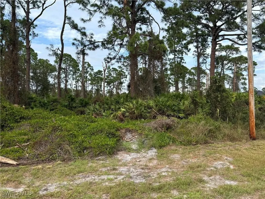 925 Barton Street E Lehigh Acres FL 33974