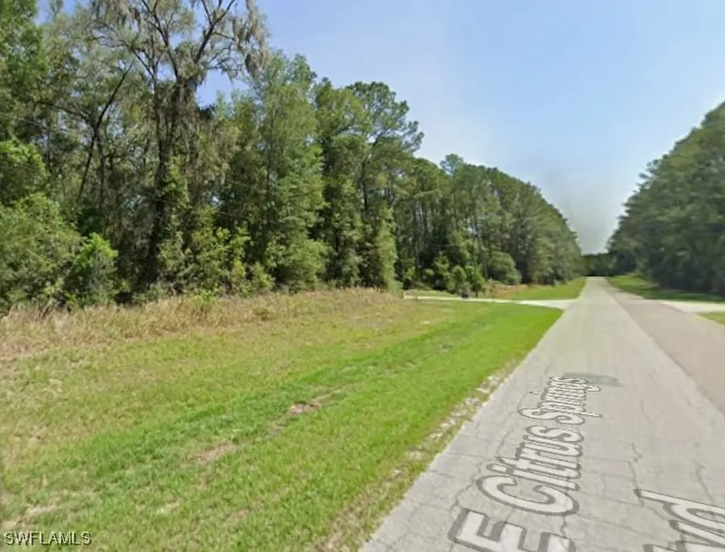 8698 N Alameda Drive Citrus Springs FL 34434