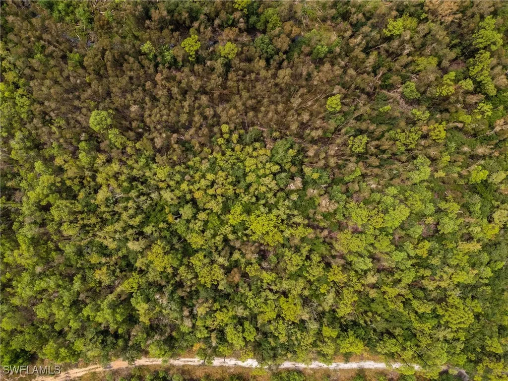 17560 Richard Road Fort Myers FL 33913