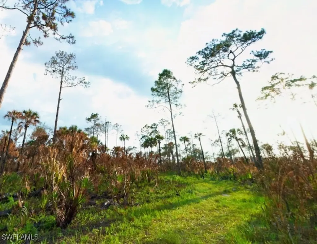 Immokalee FL 34142