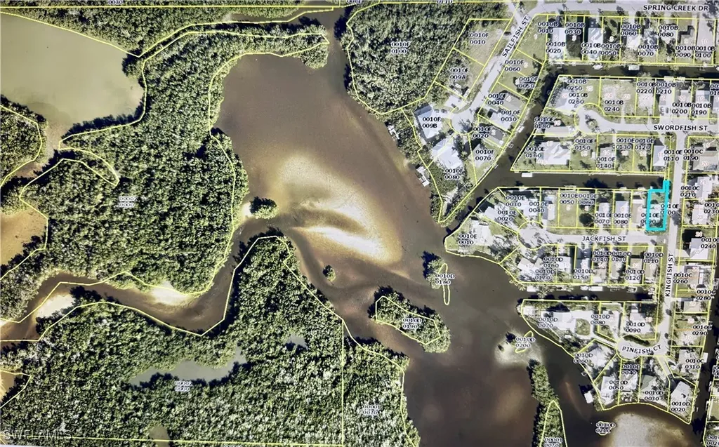 4728 Jackfish Street Bonita Springs FL 34134