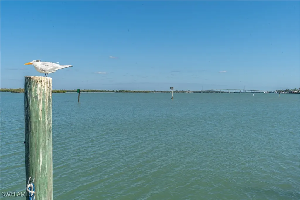 1085 Bald Eagle Drive Marco Island FL 34145