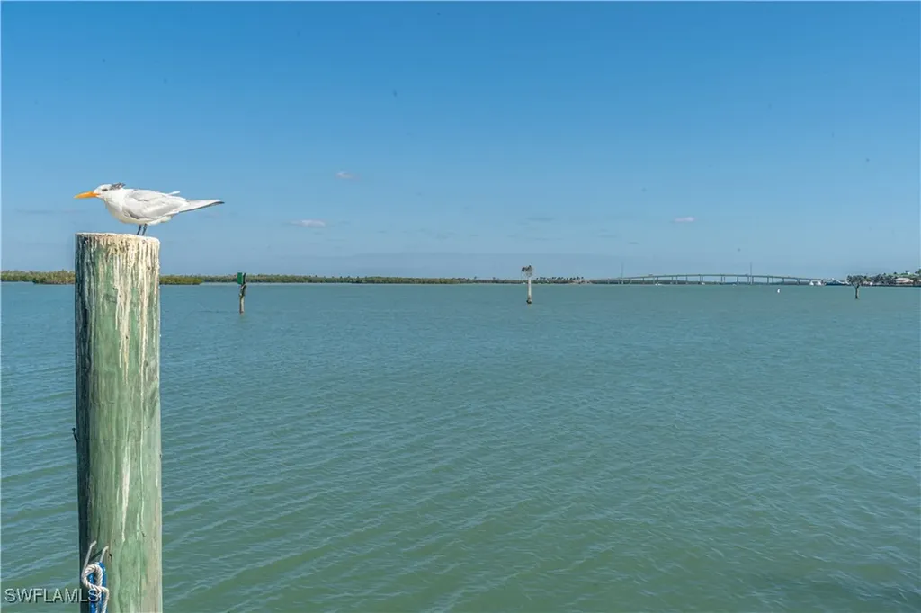 1085 Bald Eagle Drive Marco Island FL 34145