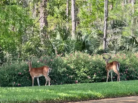 8789 Cedar Hammock Boulevard Naples FL 34112