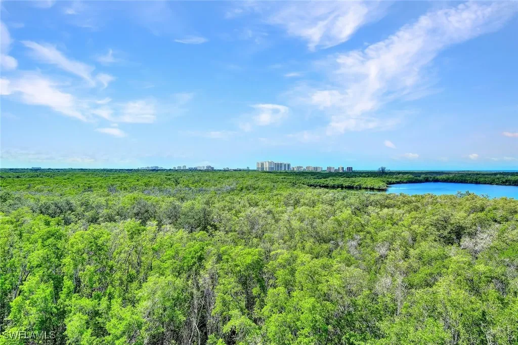 425 Cove Tower Drive Naples FL 34110