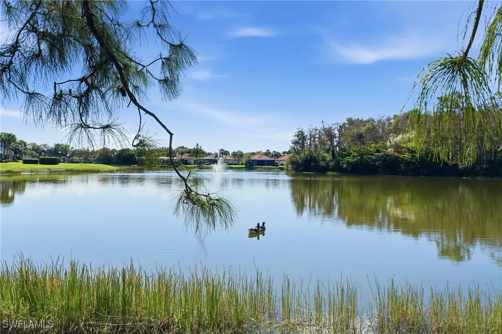 20691 Wildcat Run Drive Estero FL 33928
