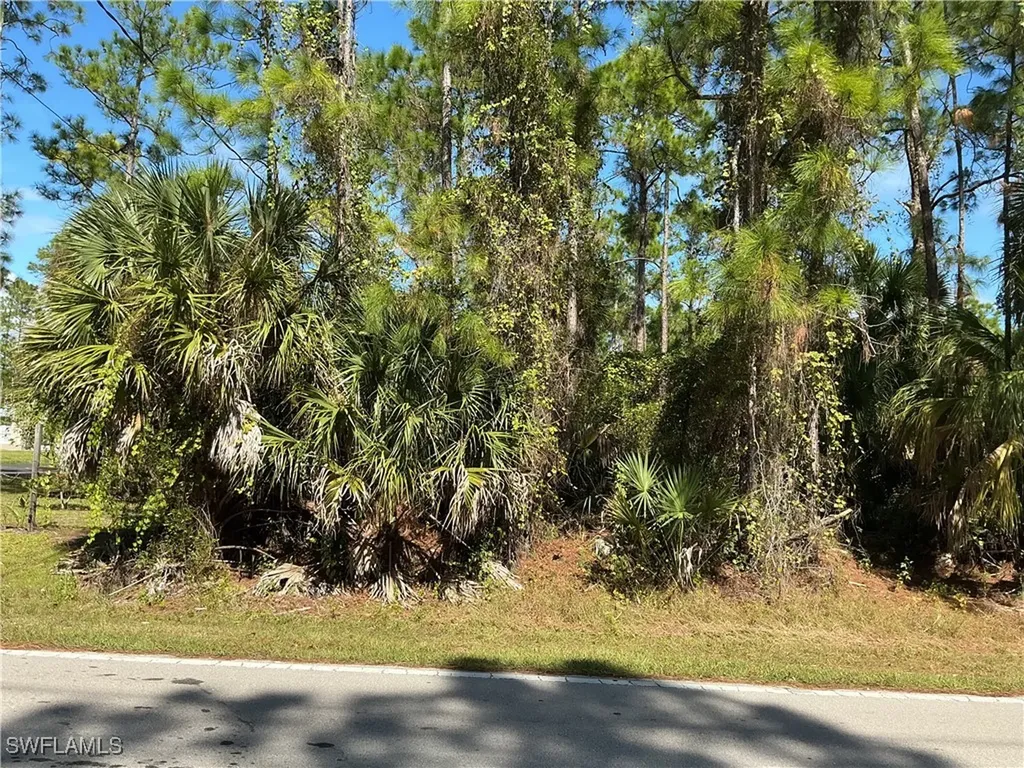 18TH Avenue NE Naples FL 34120