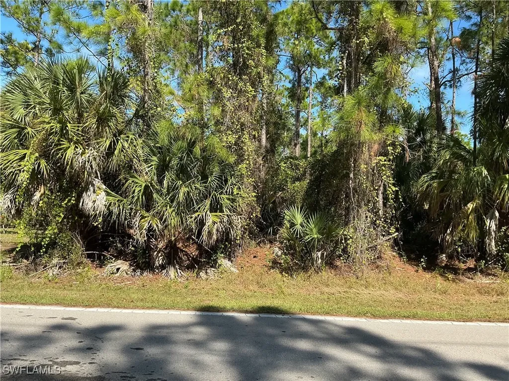 18TH Avenue NE Naples FL 34120