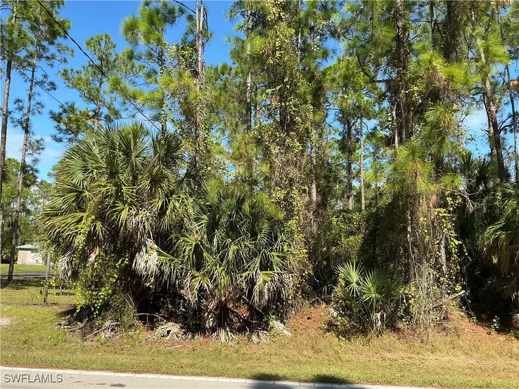 18TH Avenue NE Naples FL 34120