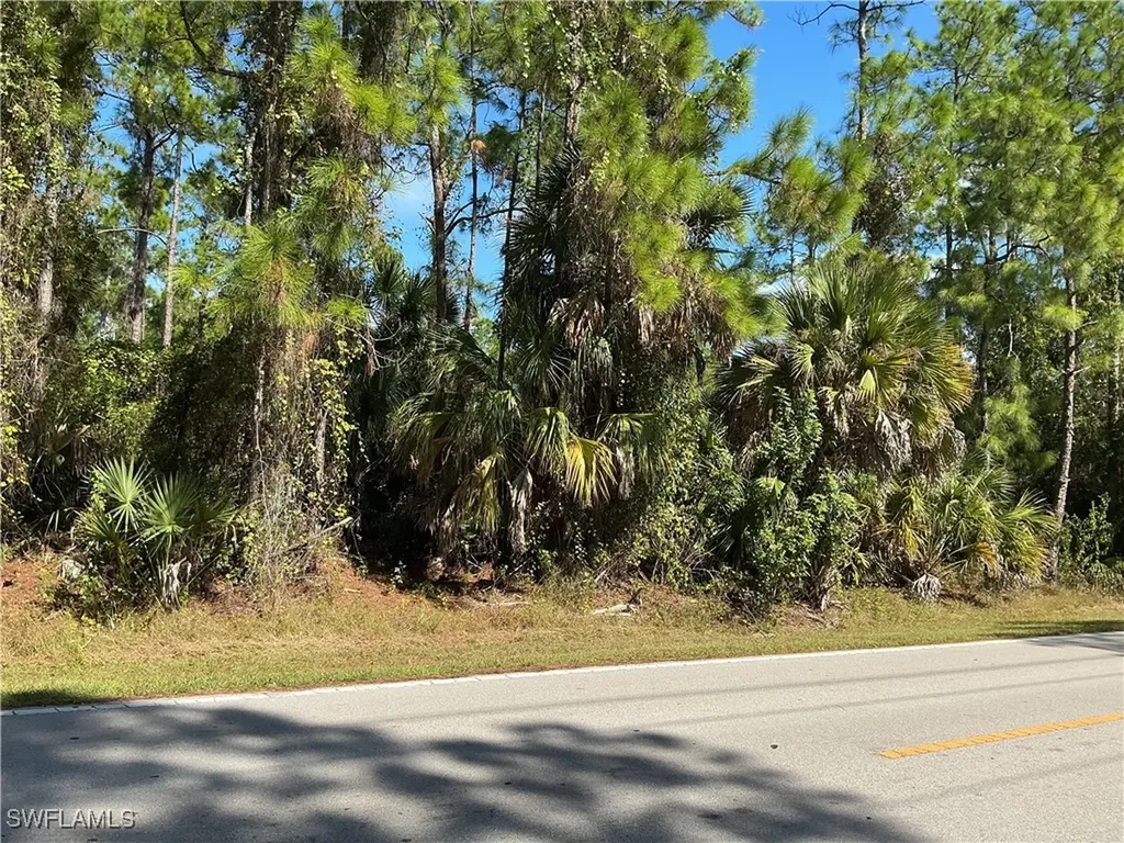 18TH Avenue NE Naples FL 34120