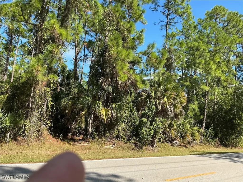 18TH Avenue NE Naples FL 34120