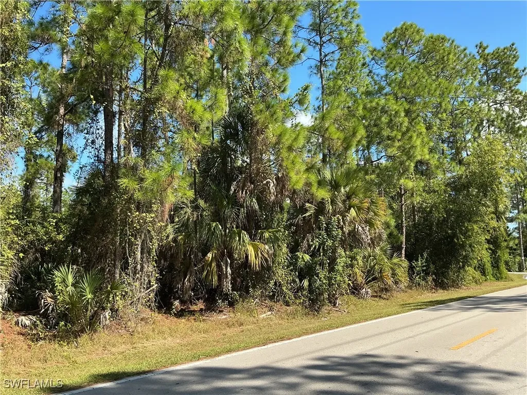 18TH Avenue NE Naples FL 34120