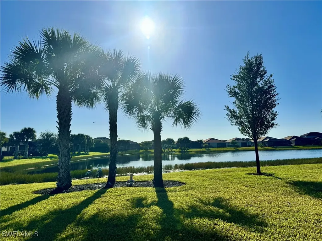 16098 Mistflower Drive Alva FL 33920