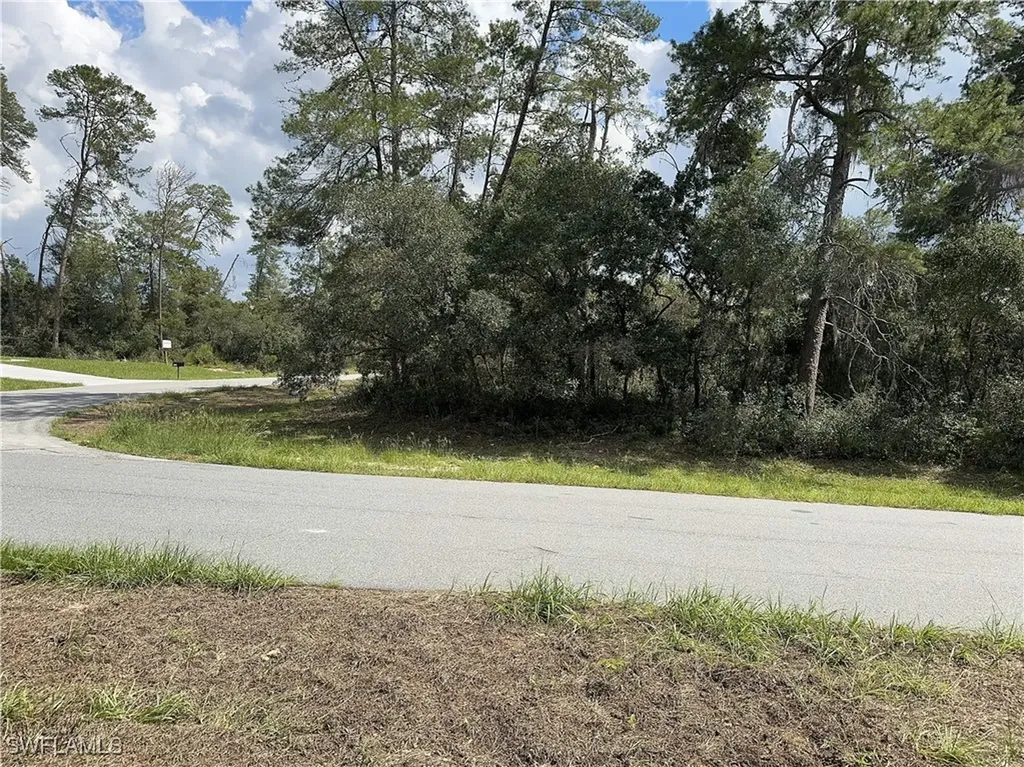 Xxx SW 167th Loop Ocala FL 34473