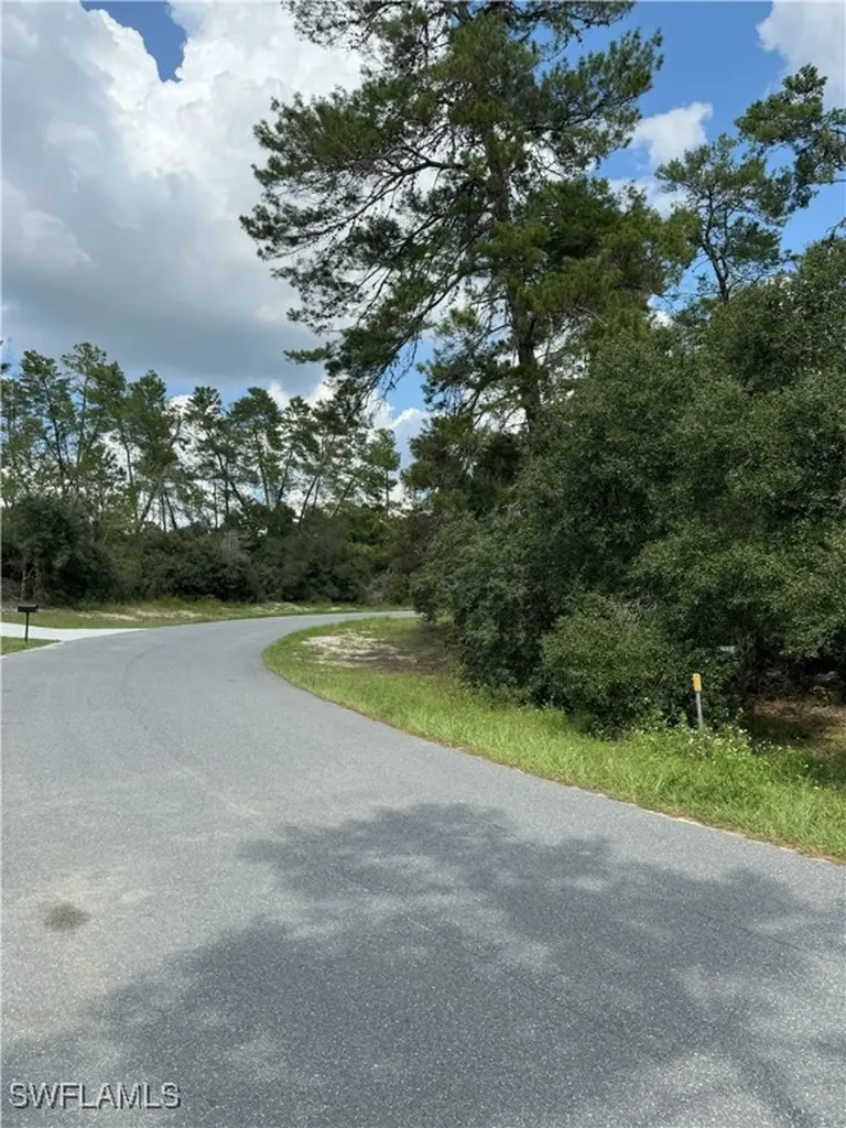 Xxx SW 167th Loop Ocala FL 34473