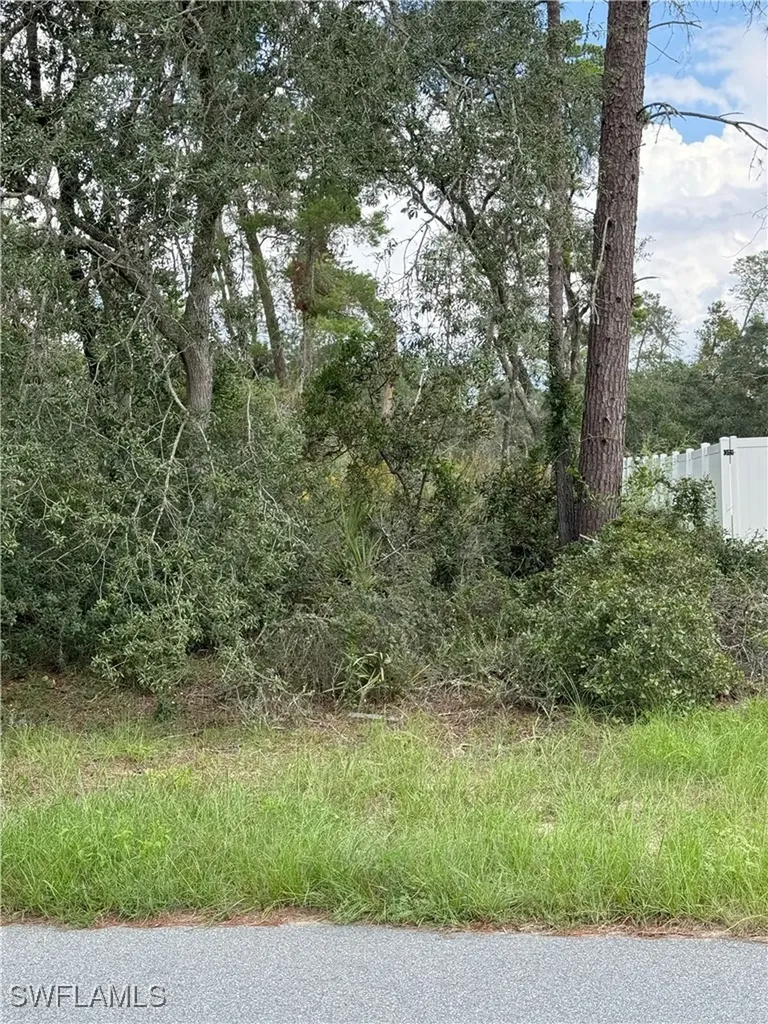 Xxx SW 167th Loop Ocala FL 34473