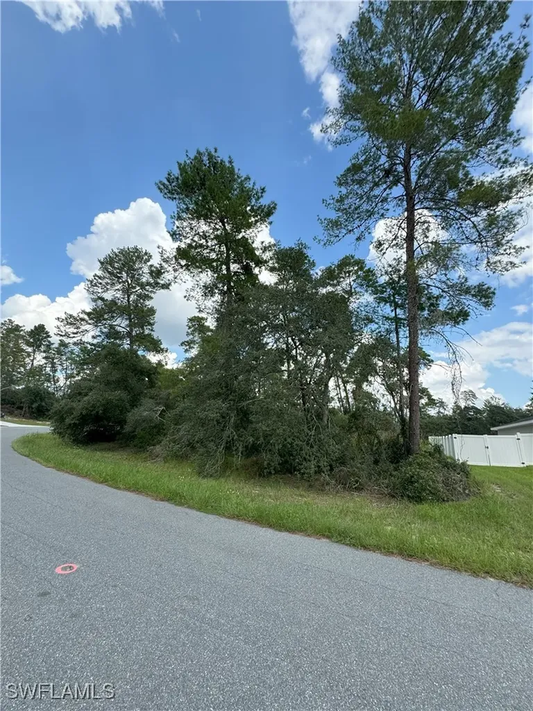 Xxx SW 167th Loop Ocala FL 34473