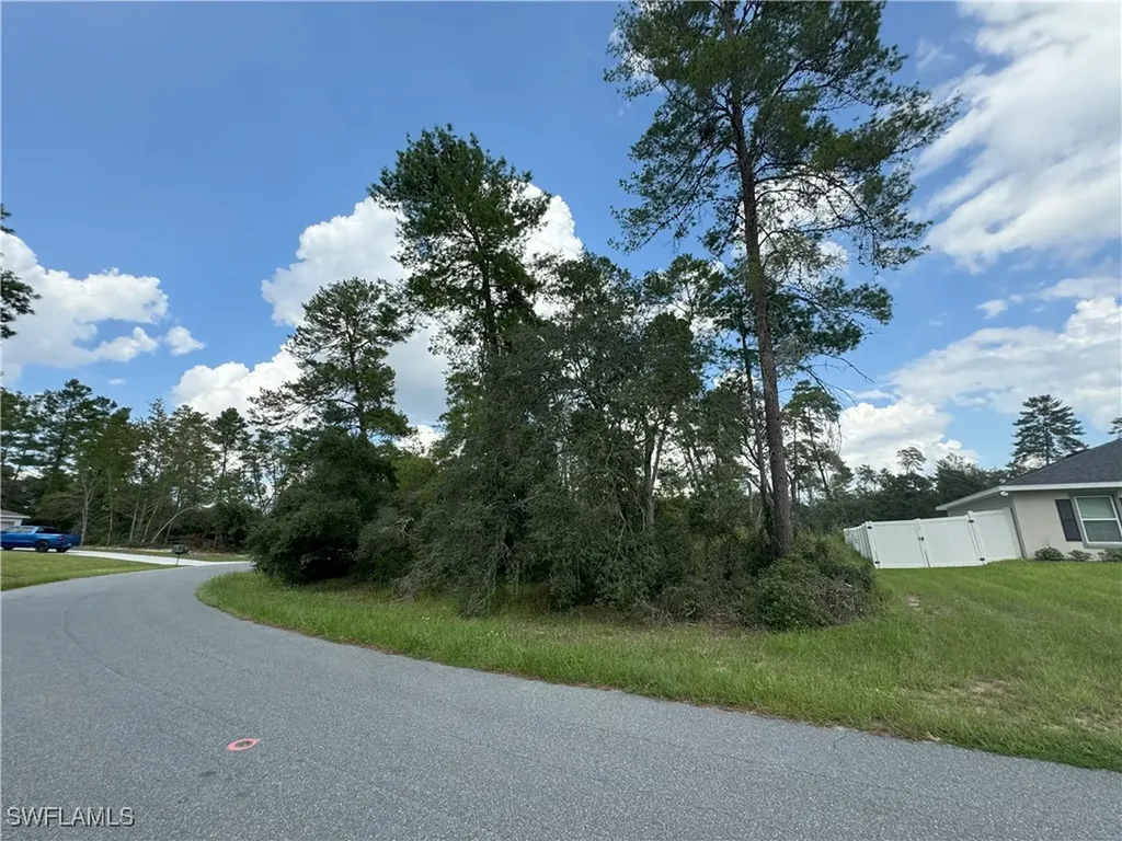 Xxx SW 167th Loop Ocala FL 34473