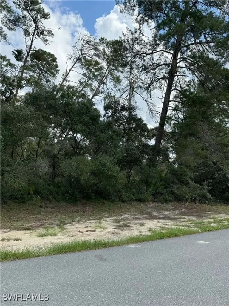 Xxx SW 167th Loop Ocala FL 34473