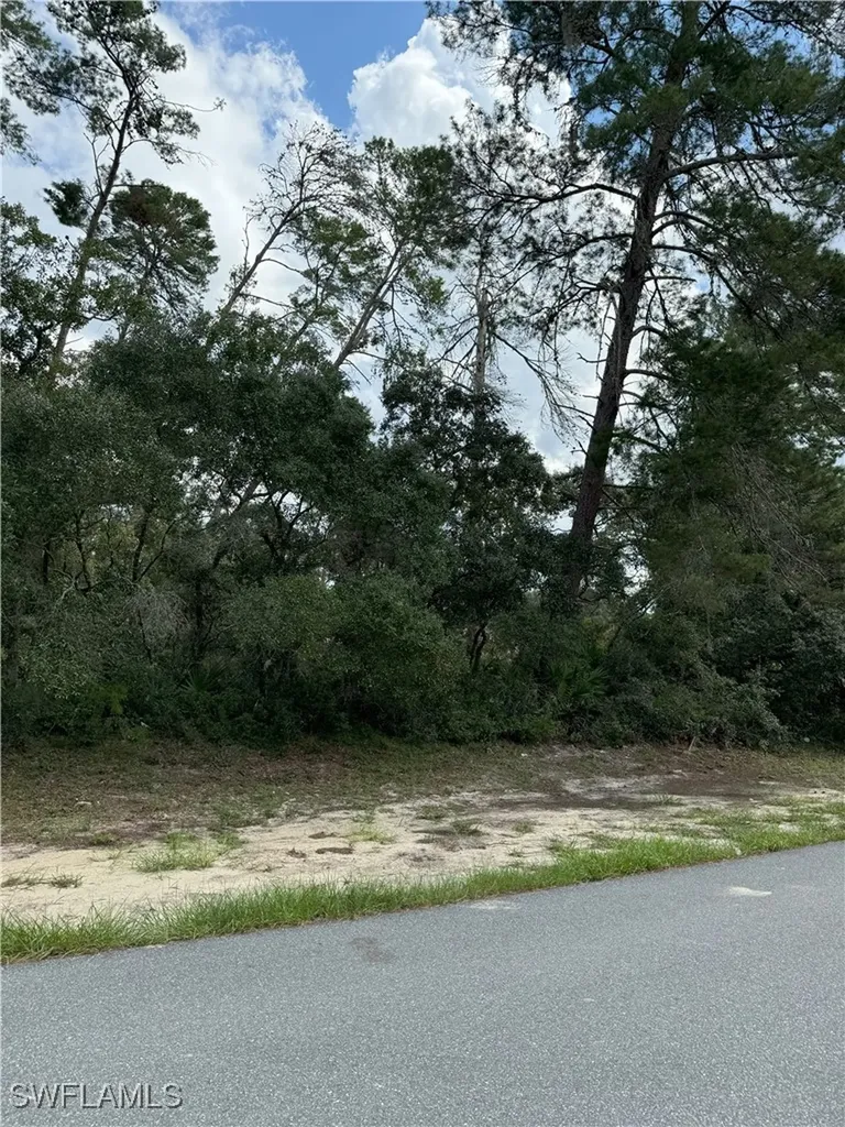 Xxx SW 167th Loop Ocala FL 34473