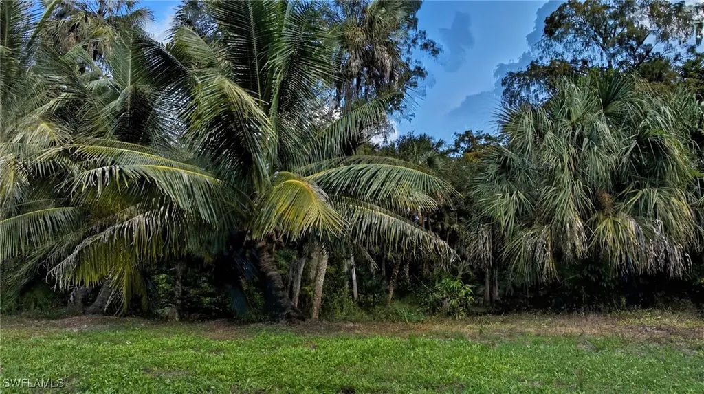 12025 Carpenter Lane Bonita Springs FL 34135