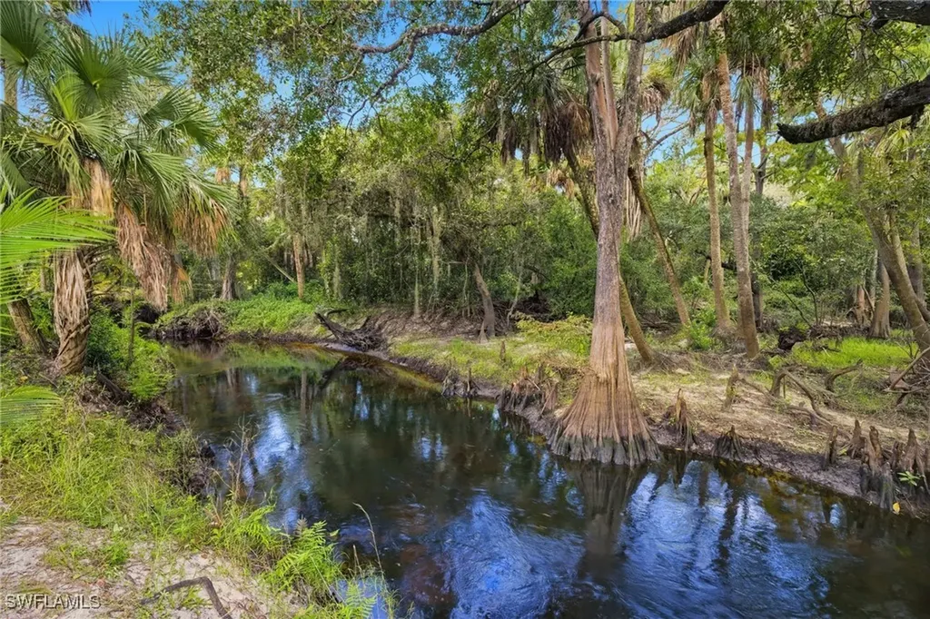 12025 Carpenter Lane Bonita Springs FL 34135