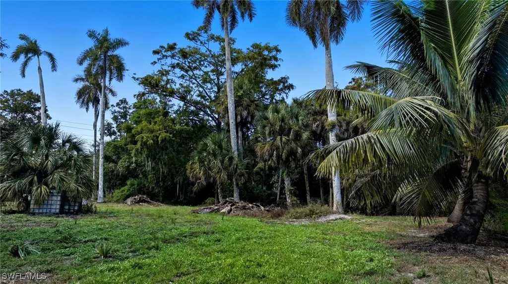 12025 Carpenter Lane Bonita Springs FL 34135