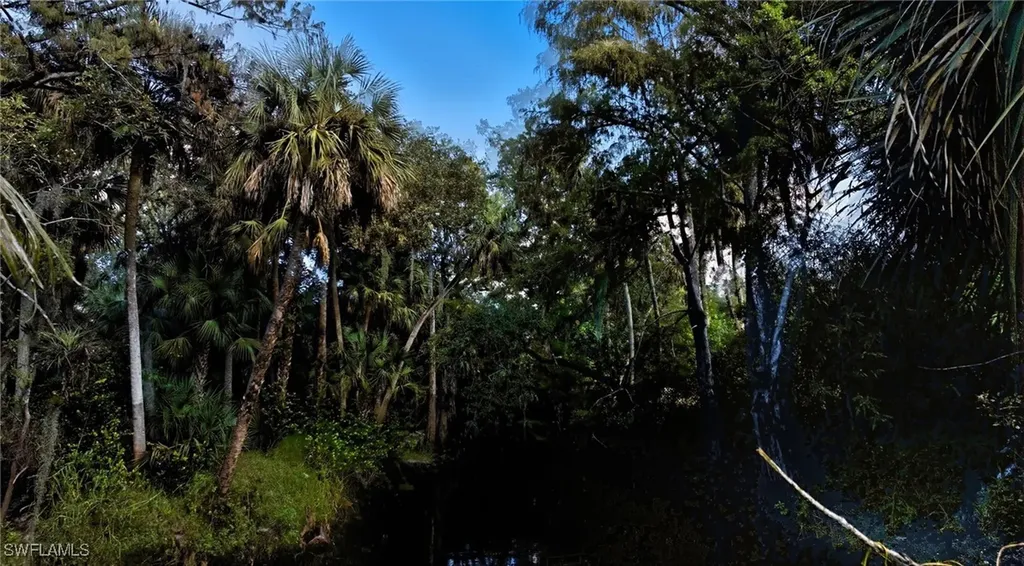 12025 Carpenter Lane Bonita Springs FL 34135