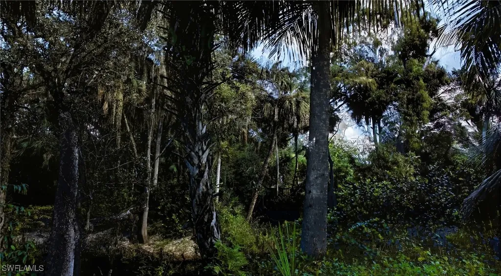 12025 Carpenter Lane Bonita Springs FL 34135