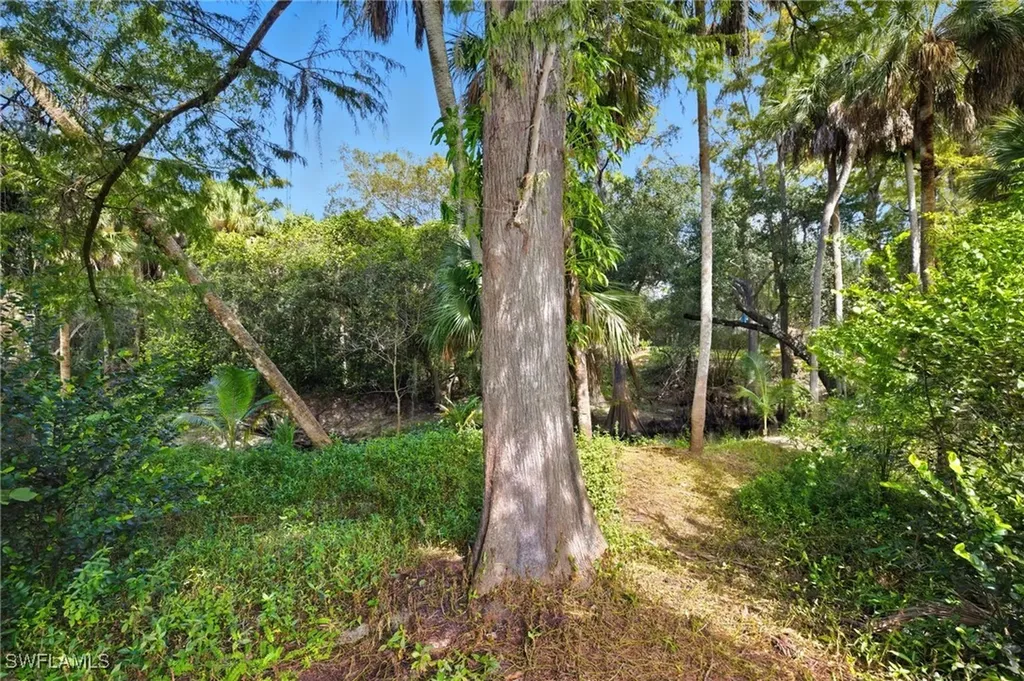 12025 Carpenter Lane Bonita Springs FL 34135