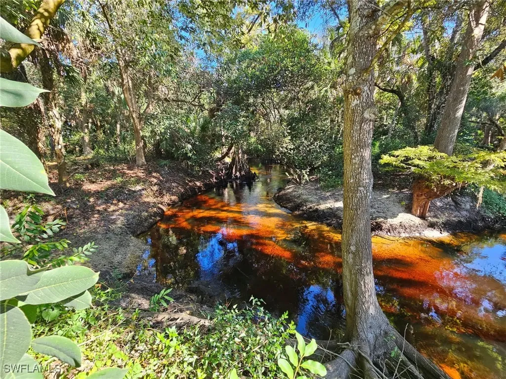 12025 Carpenter Lane Bonita Springs FL 34135