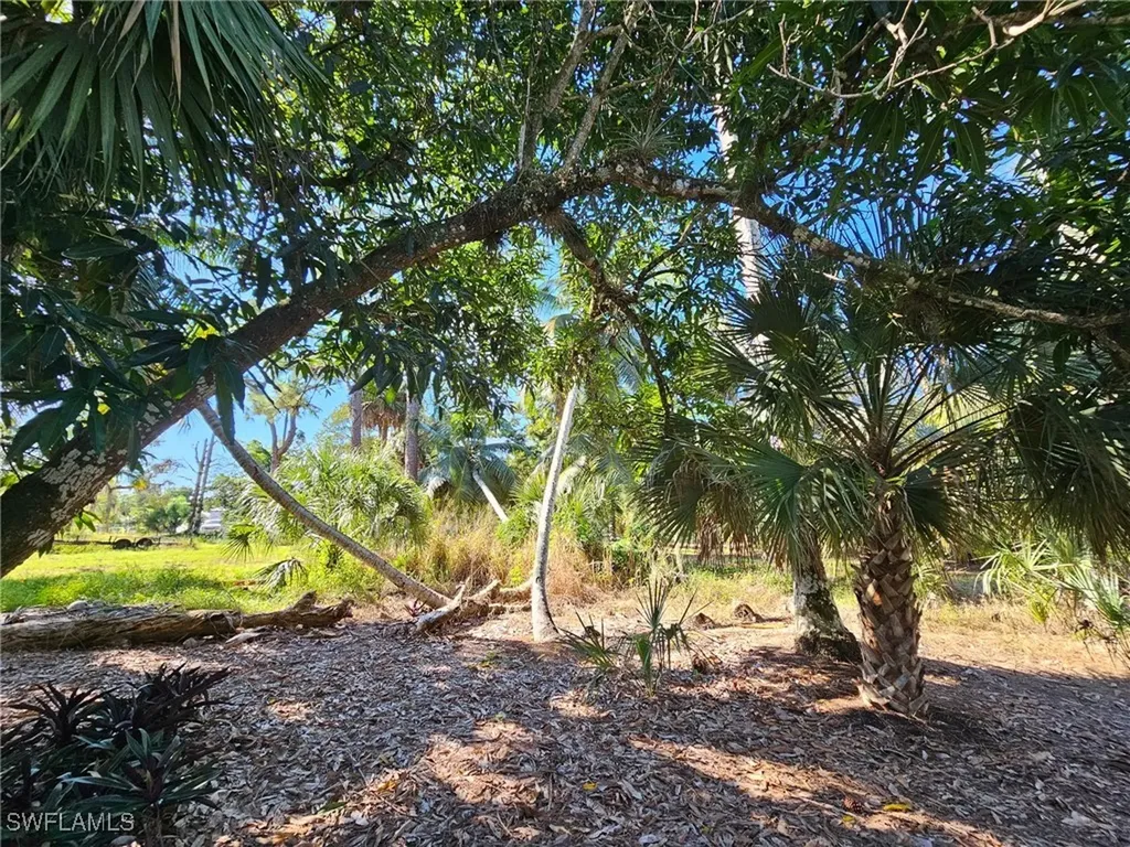 12025 Carpenter Lane Bonita Springs FL 34135