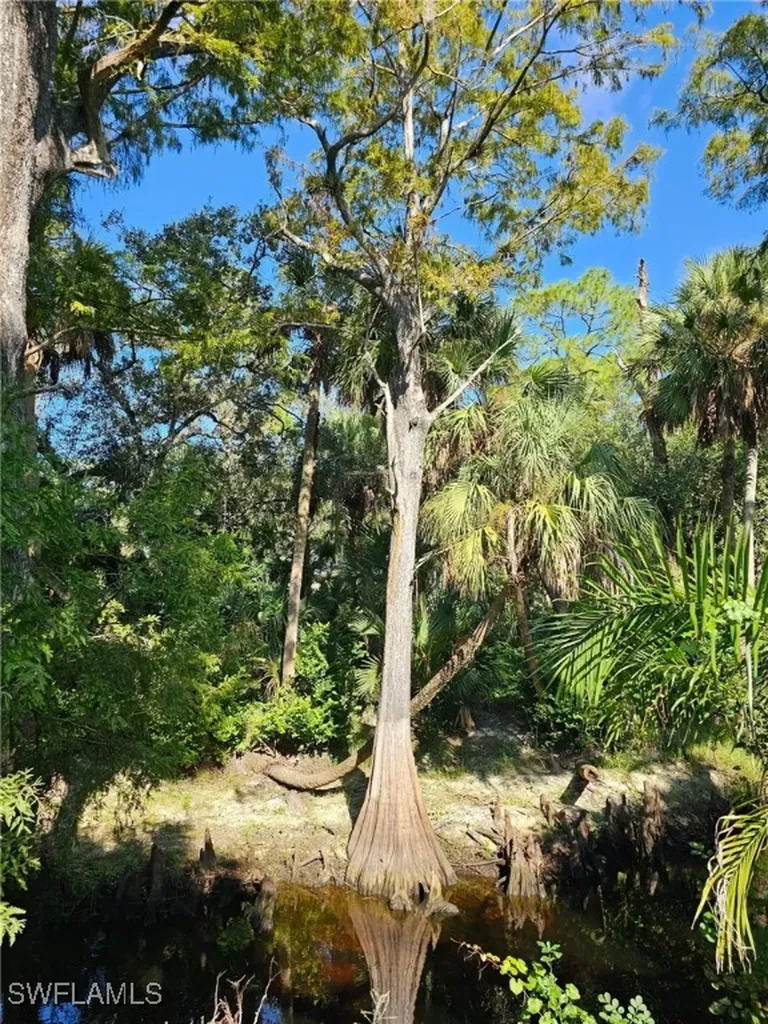 12025 Carpenter Lane Bonita Springs FL 34135