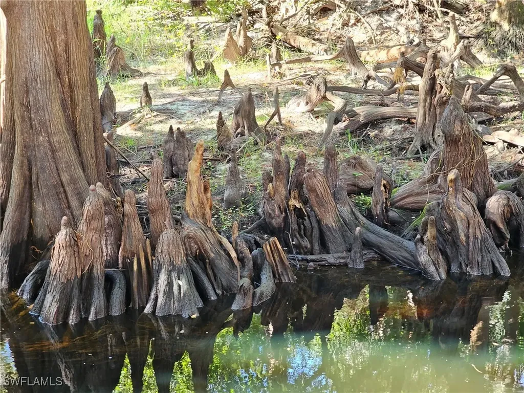 12025 Carpenter Lane Bonita Springs FL 34135