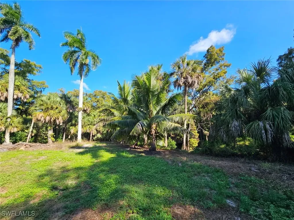 12025 Carpenter Lane Bonita Springs FL 34135