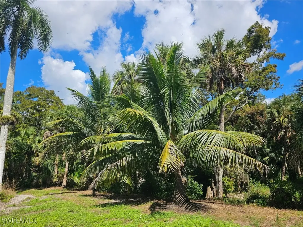 12025 Carpenter Lane Bonita Springs FL 34135