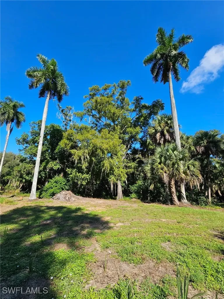 12025 Carpenter Lane Bonita Springs FL 34135