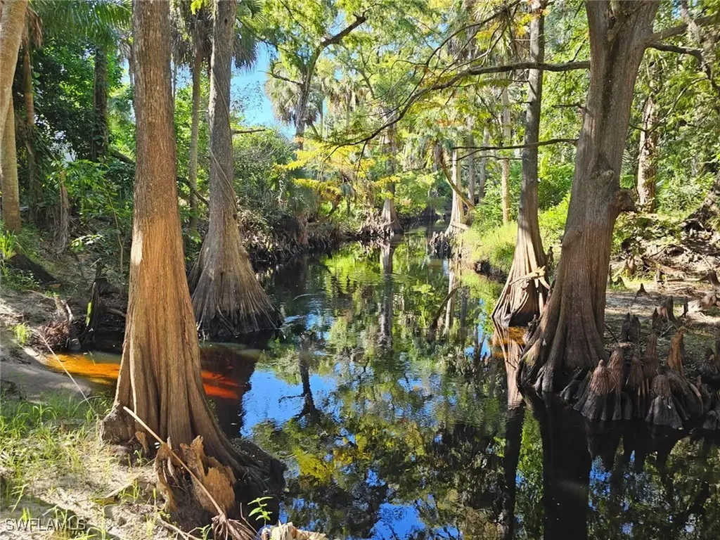 12025 Carpenter Lane Bonita Springs FL 34135