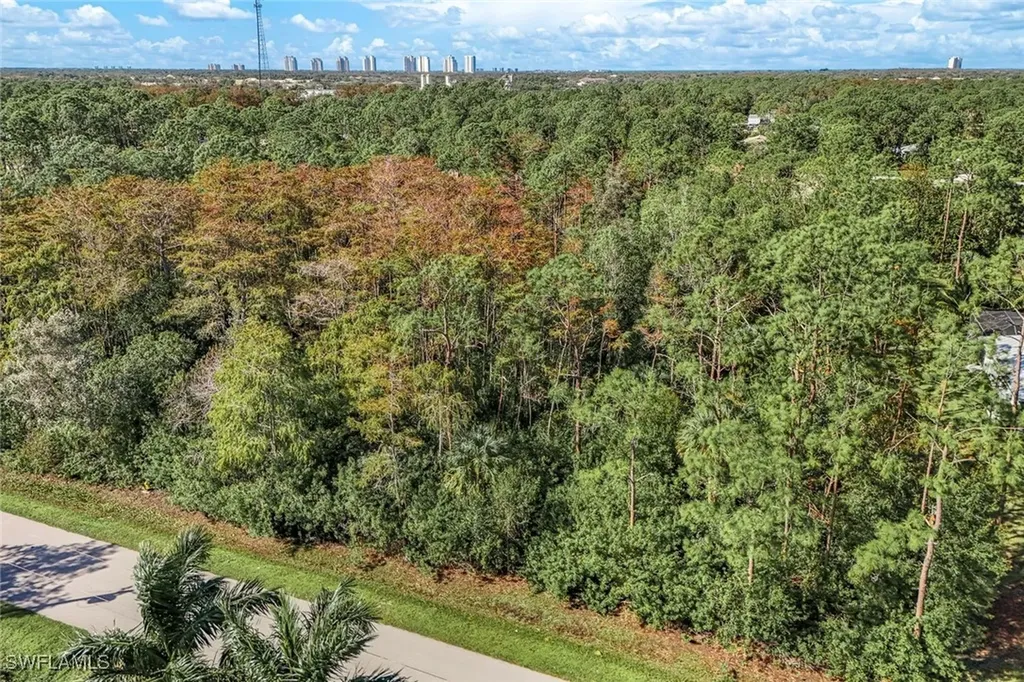 24742 Claire Street Bonita Springs FL 34135
