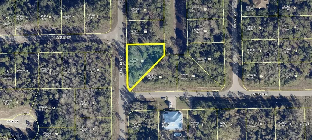545 Millcreek Street Lehigh Acres FL 33974