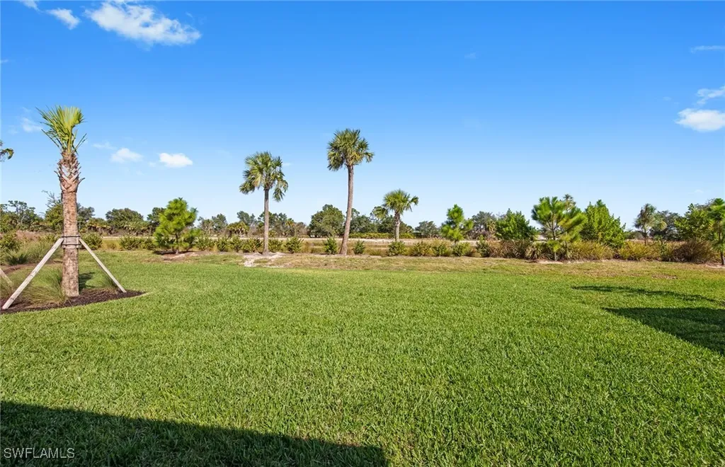 12599 Quartz Drive Alva FL 33920