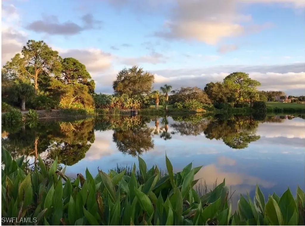 12219 Colliers Reserve Drive Naples FL 34110